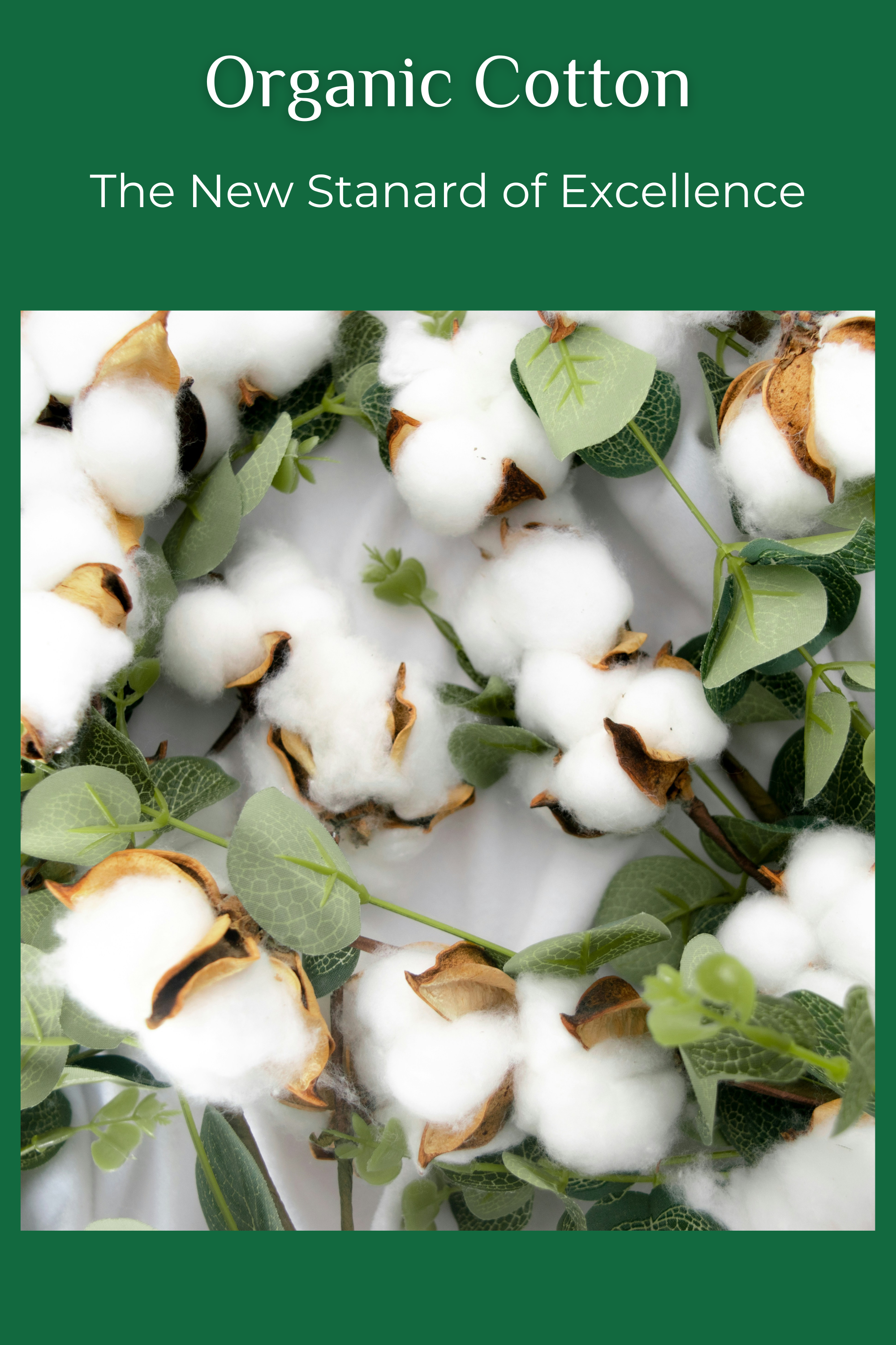 Organic Cotton Moves From Specialty Fiber to Industry Benchmark