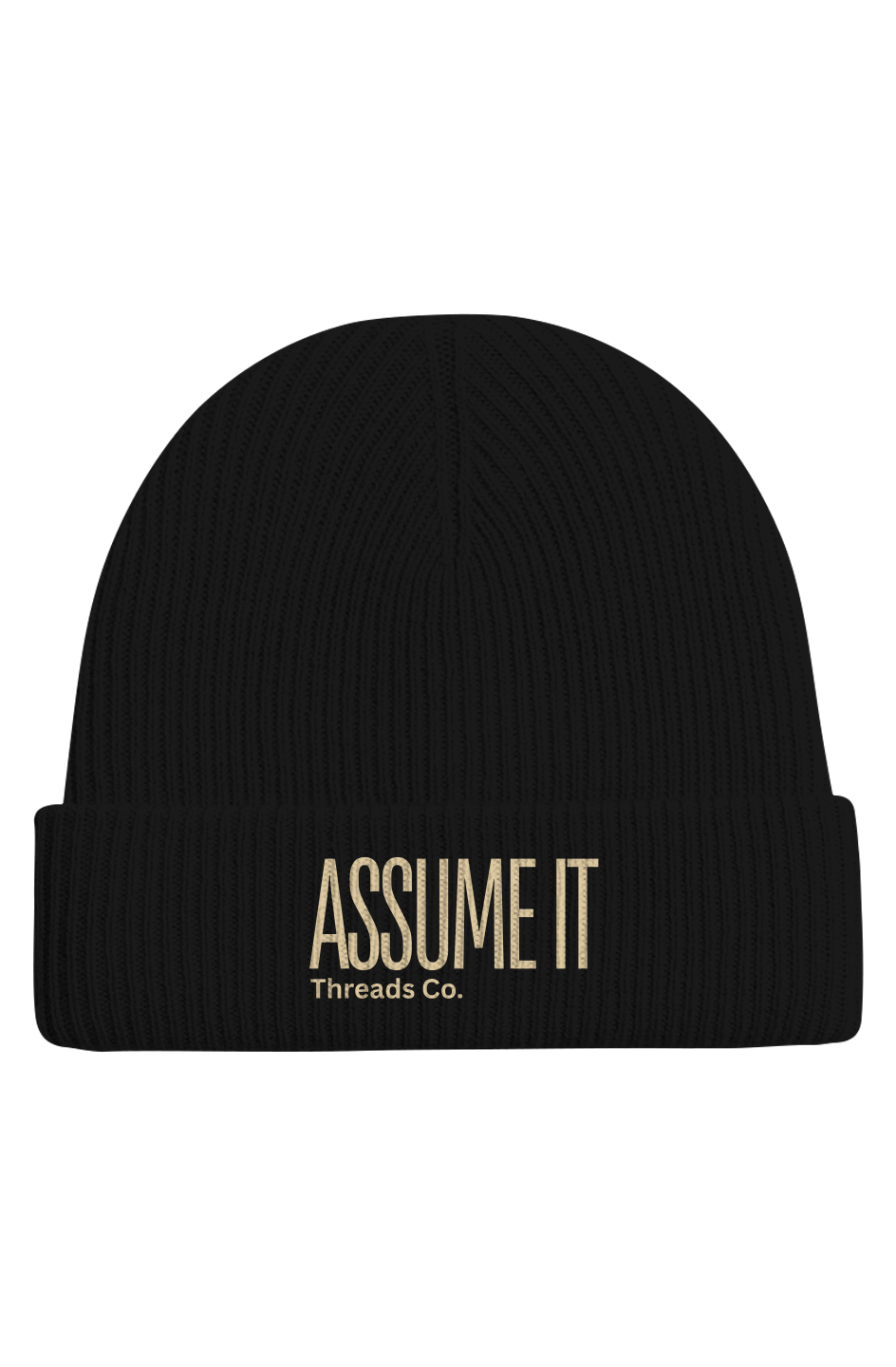 Assume It Cashmere Wool Beanie