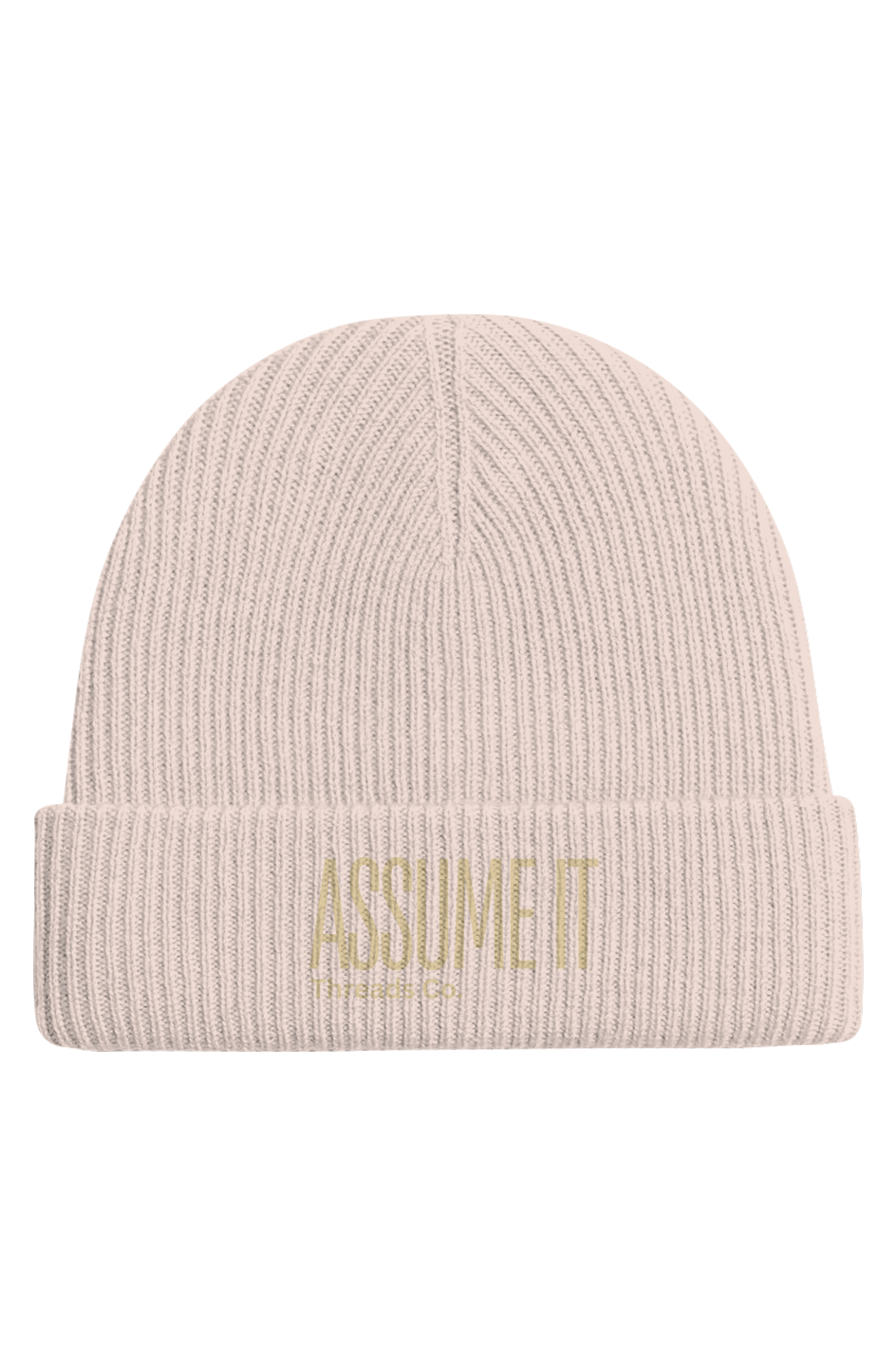 Assume It Cashmere Wool Beanie