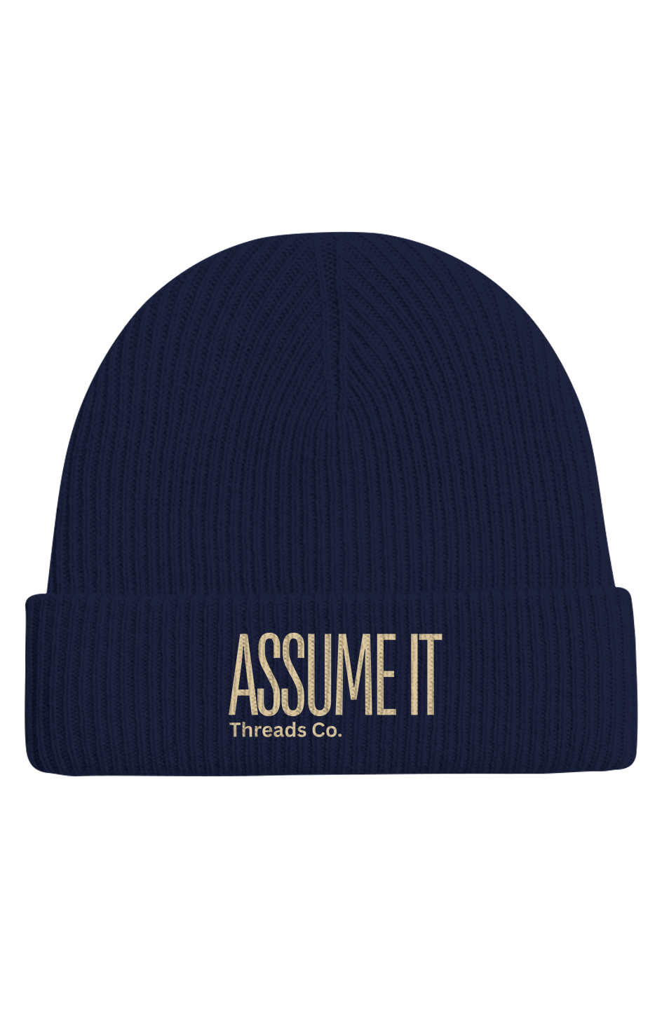 Assume It Cashmere Wool Beanie